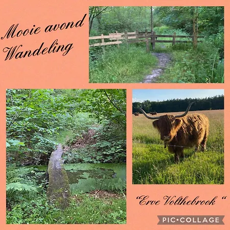 Erve Volthebrook Сasa de vacaciones