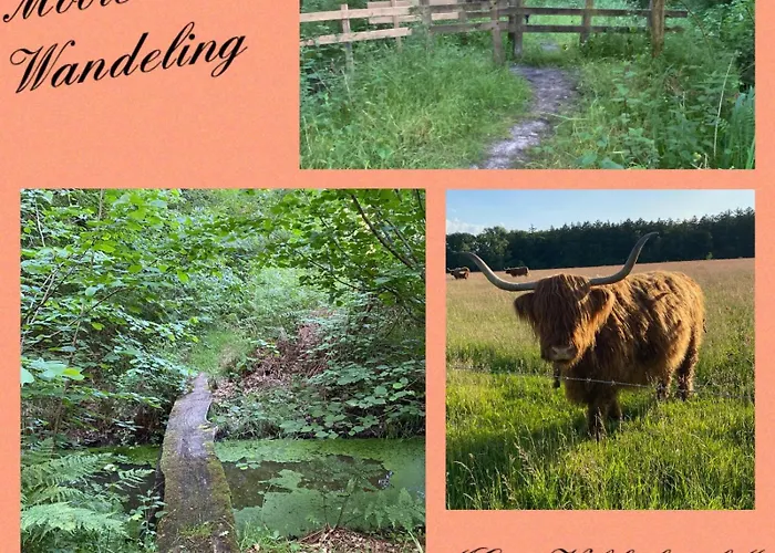 Erve Volthebrook Ferienhaus