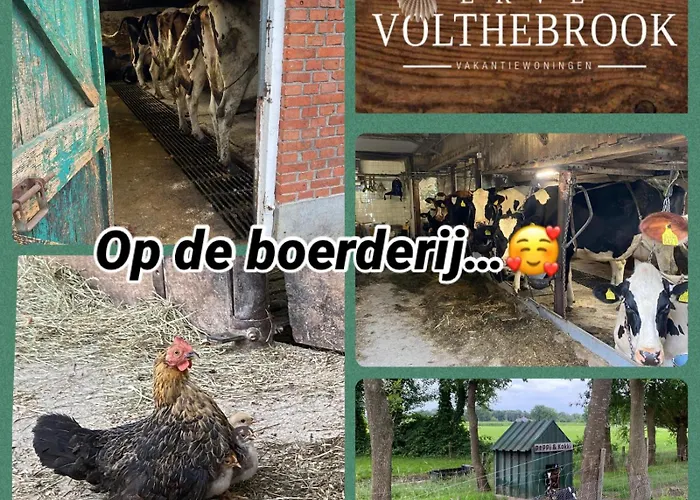 Erve Volthebrook Ferienhaus Rossum (Overijssel)