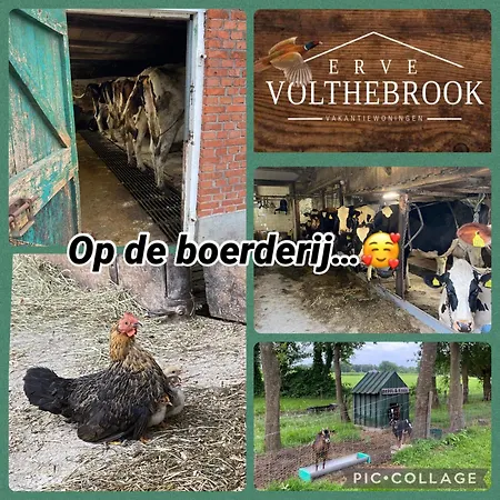 Erve Volthebrook Дом отдыха Rossum (Overijssel)